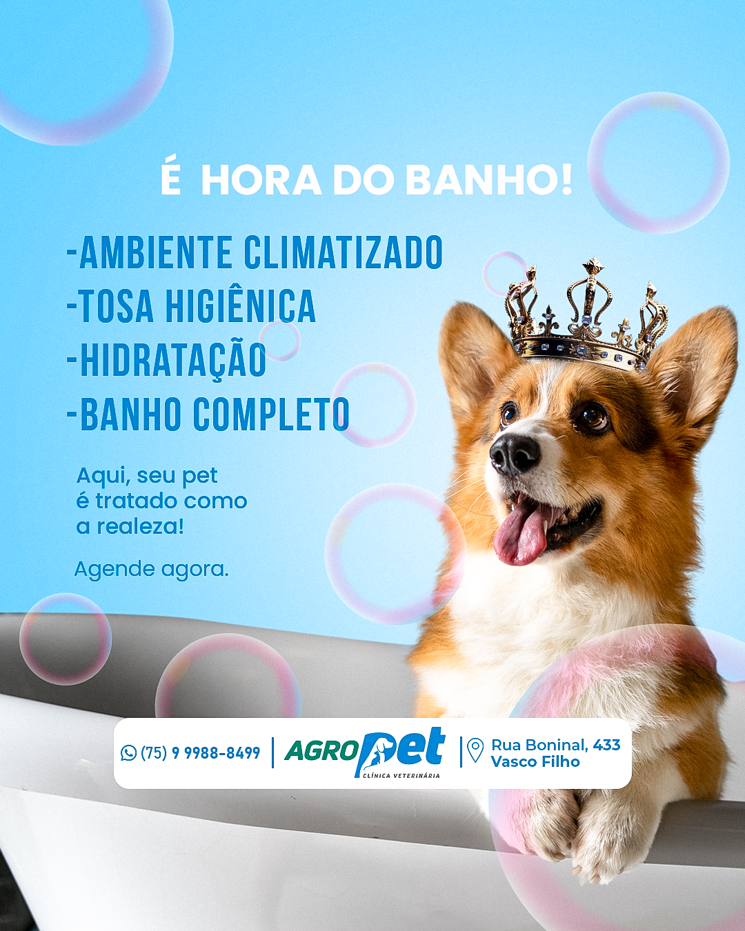 Banho e Tosa