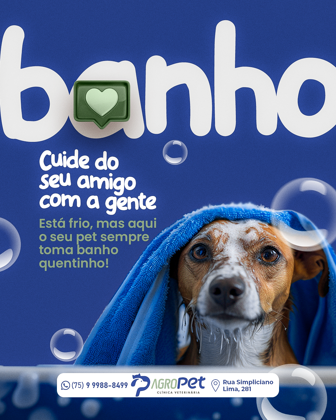 Banho e tosa