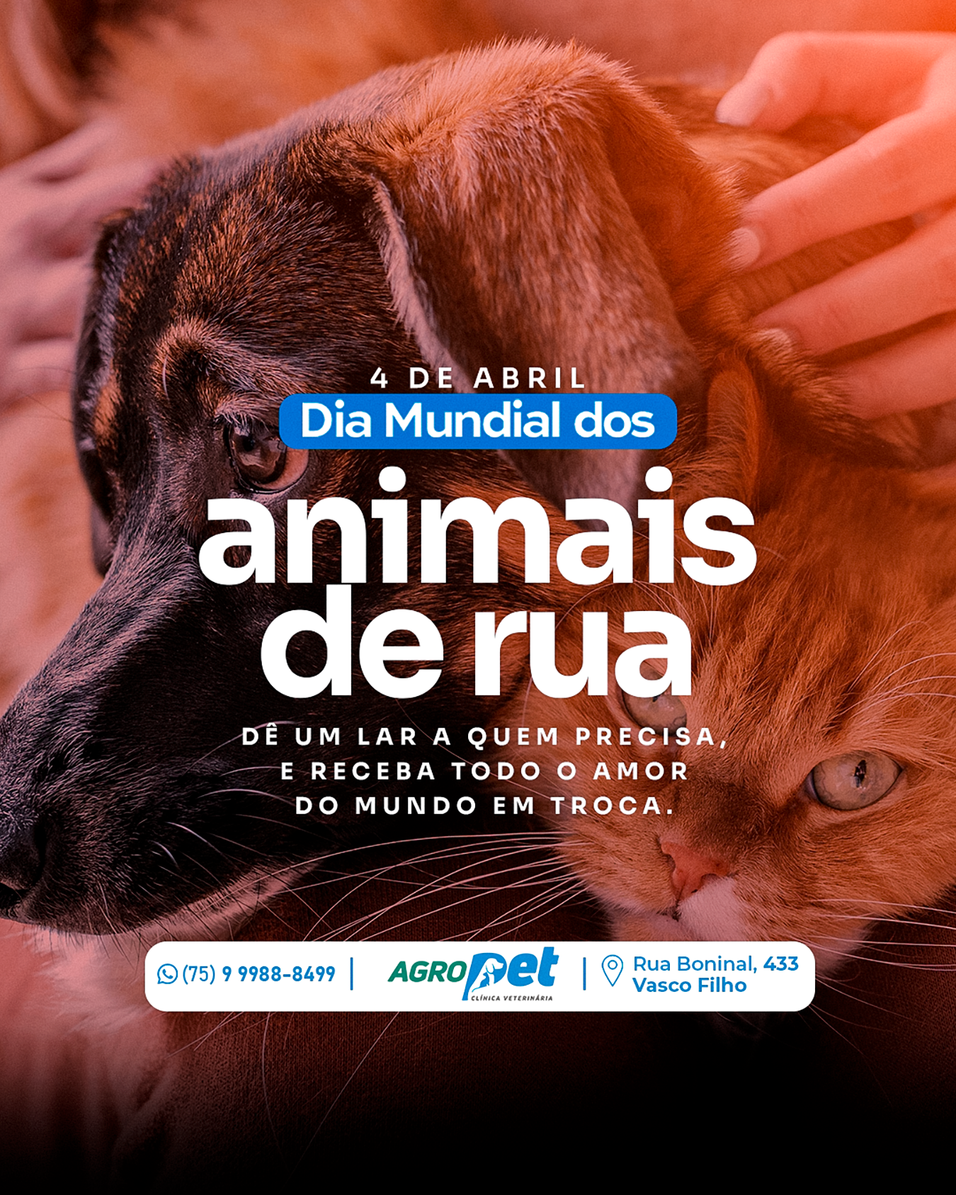 Dia mundial dos animais